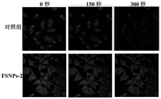 Fluorescent silica nanoparticles with nano-hydrophobic cage structure, preparation method and application thereof