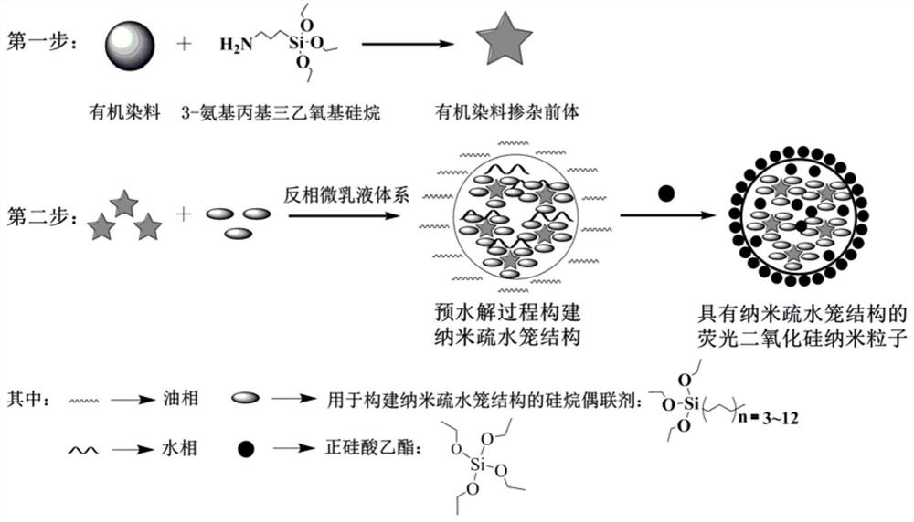 Fluorescent silica nanoparticles with nano-hydrophobic cage structure, preparation method and application thereof