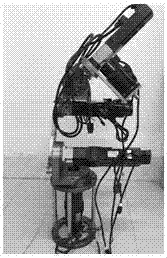 Industrial robot training system with dismounting device and training method