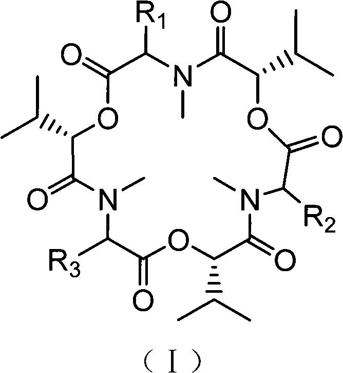 Application of enniatine compound for preparing anti-drug-resistant tubercle bacillus drugs