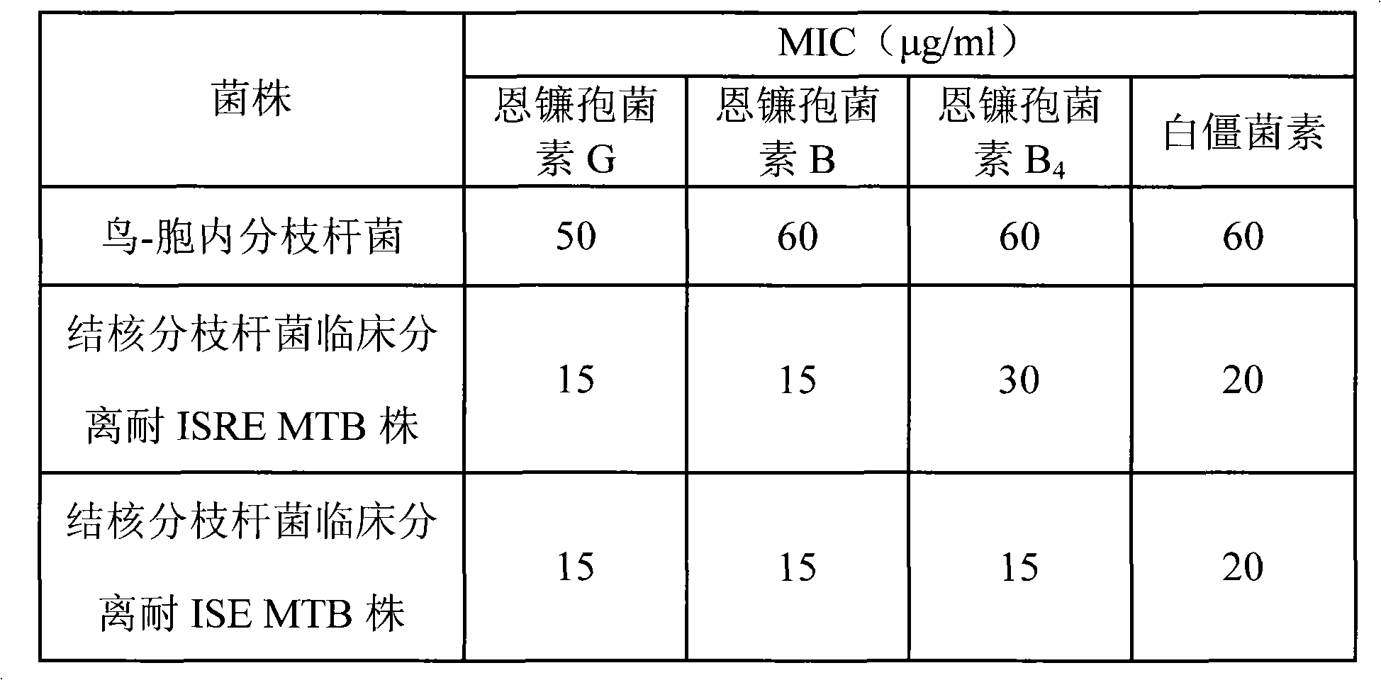 Application of enniatine compound for preparing anti-drug-resistant tubercle bacillus drugs