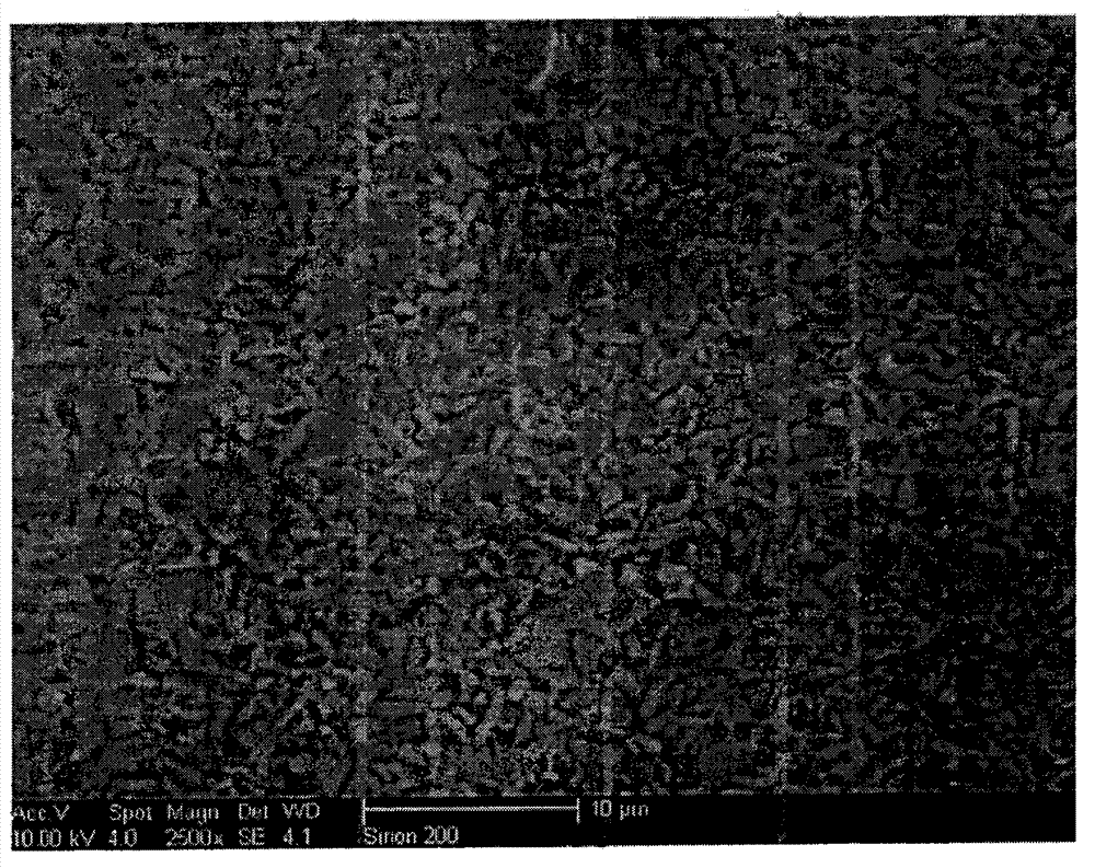 Plumbite type yttrium permanent magnetic ferrite material and preparation method thereof