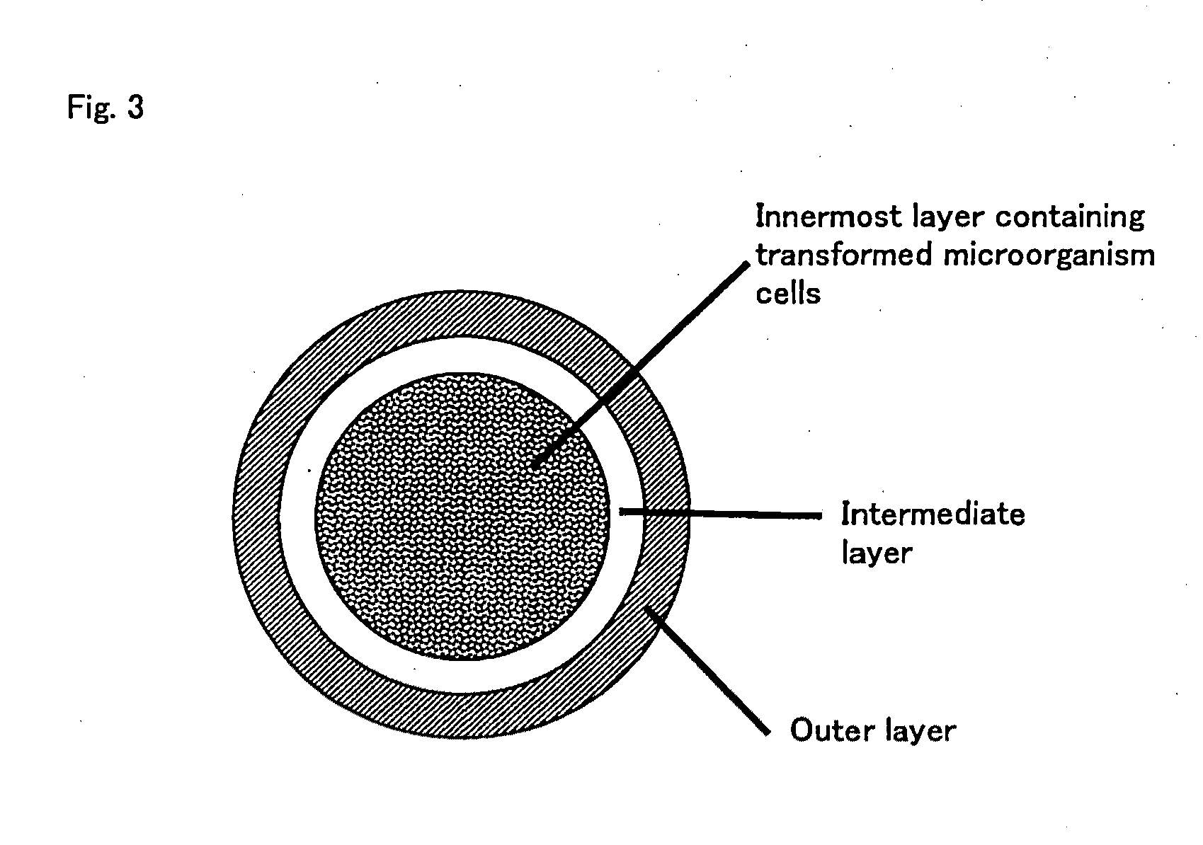 Oral vaccine