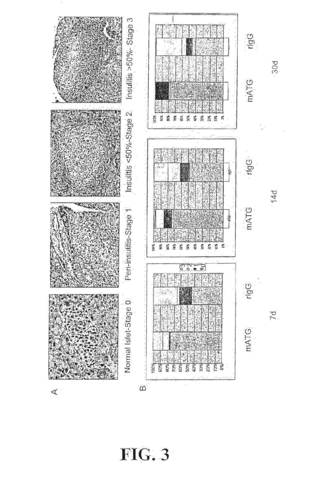 Materials and Methods for Reversing Type-1 Diabetes