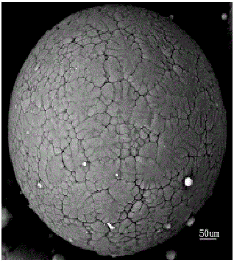 Preparation method of silver coated aluminum alloy powder for conductive filler