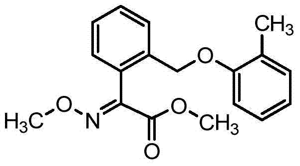 Kresoxim-methyl and pyrimethanil compound fungicide composite fumigant and application of fumigant