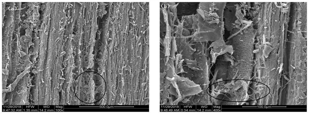 Nano xylan-based graft copolymer and preparation method and application thereof