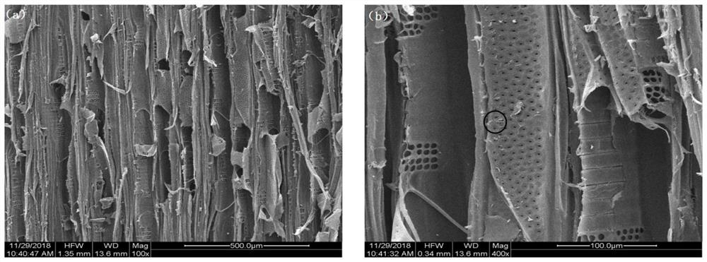 Nano xylan-based graft copolymer and preparation method and application thereof