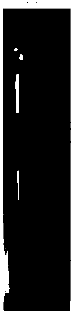 Adsorbing agent based on ferroferric oxide and graphene and preparation method of adsorbing agent