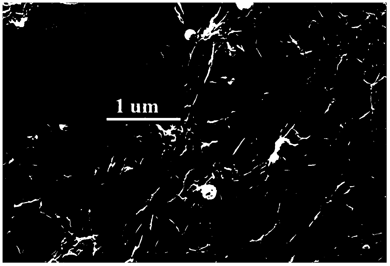 Adsorbing agent based on ferroferric oxide and graphene and preparation method of adsorbing agent