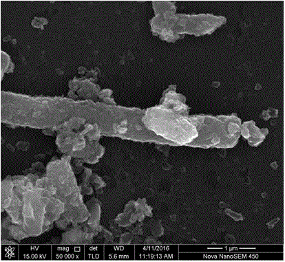 Preparation method for multi-wall carbon nano tube reinforced magnesium-based composite material coated with elemental copper