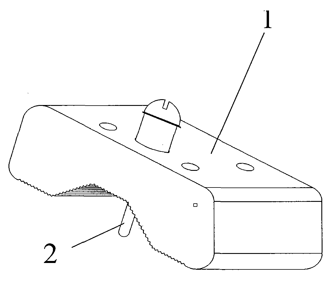 Current-voltage electrode