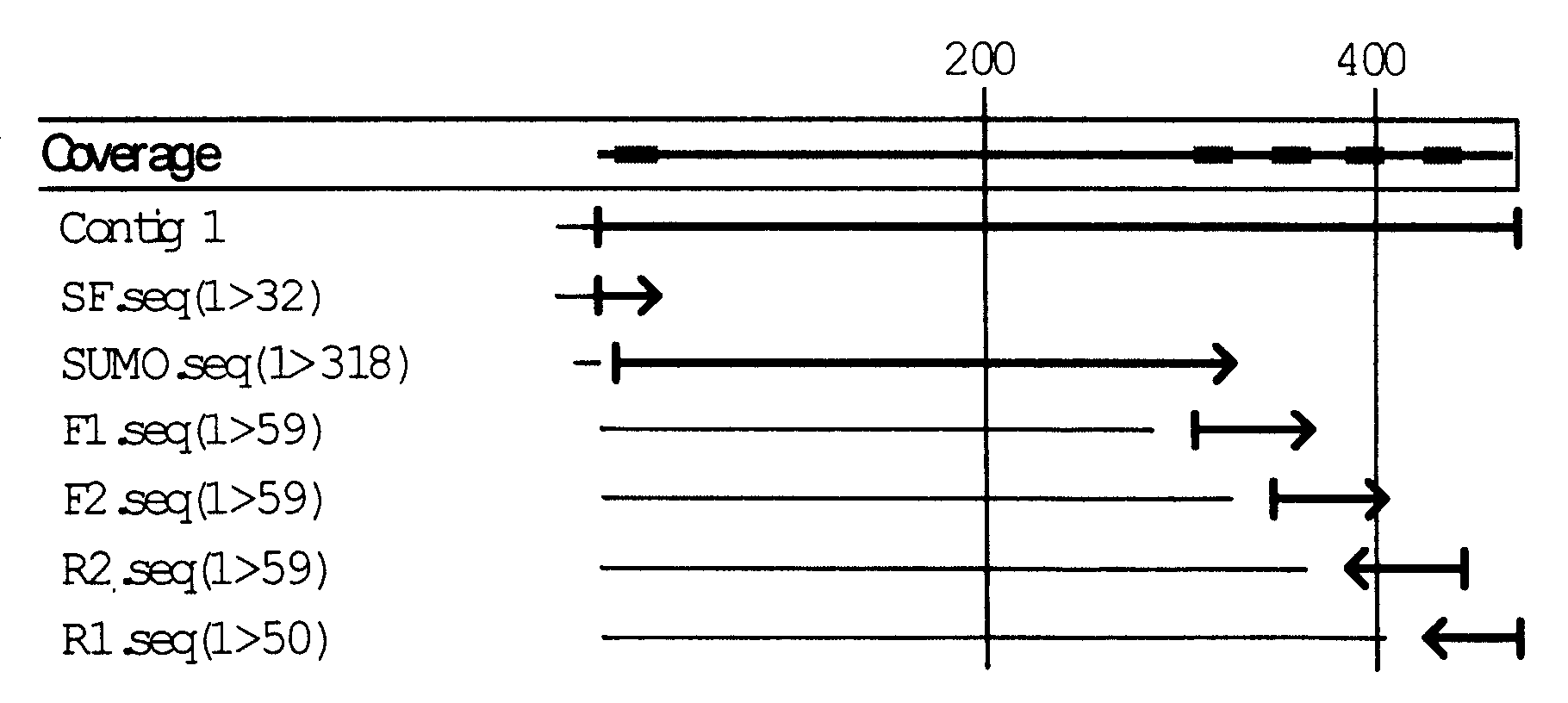 Preparation method of recombination human thymosin beta 16