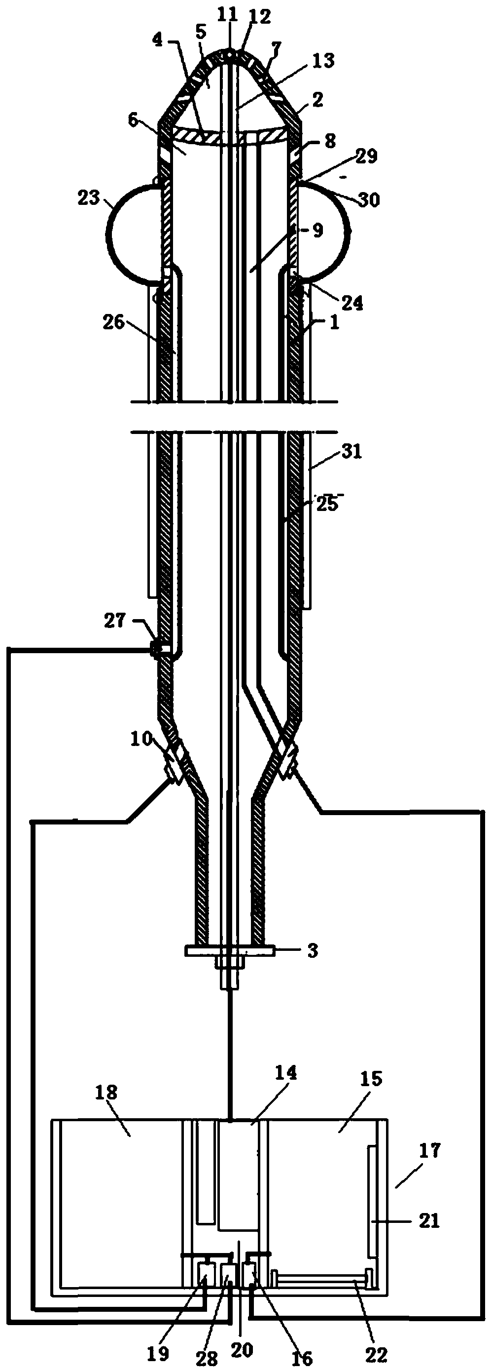 Vagina cleaner with endoscope