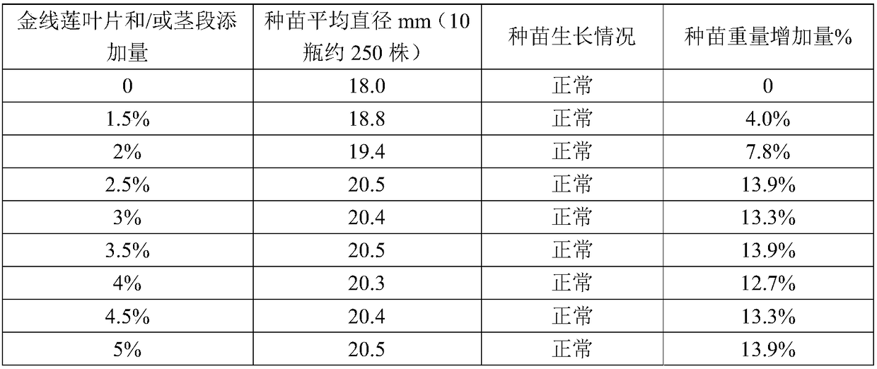 Anoectochilus formosanus sound seedling culture method