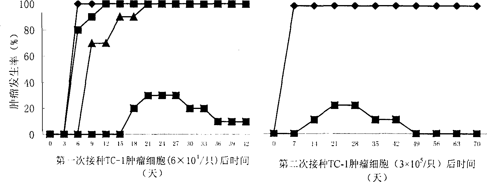 Human papilloma virus and heat shock protein recombinant protein vaccine and use thereof