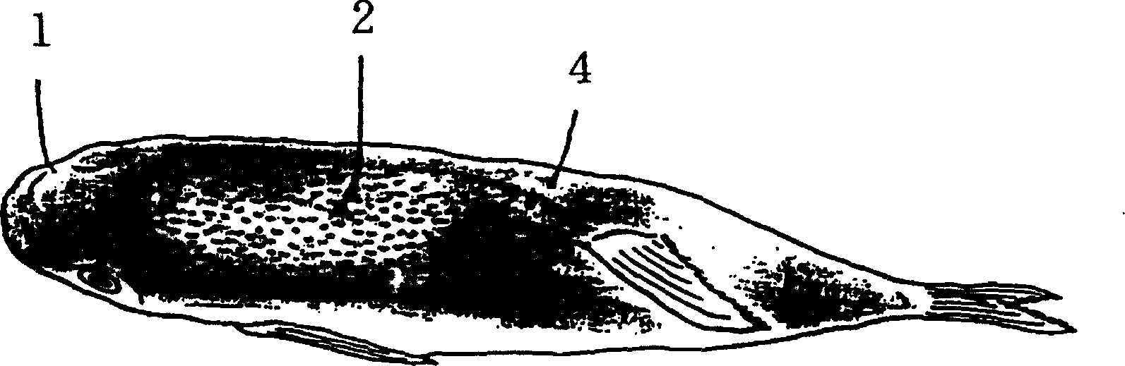 Method for treating wheeleri or gloveri of globefish