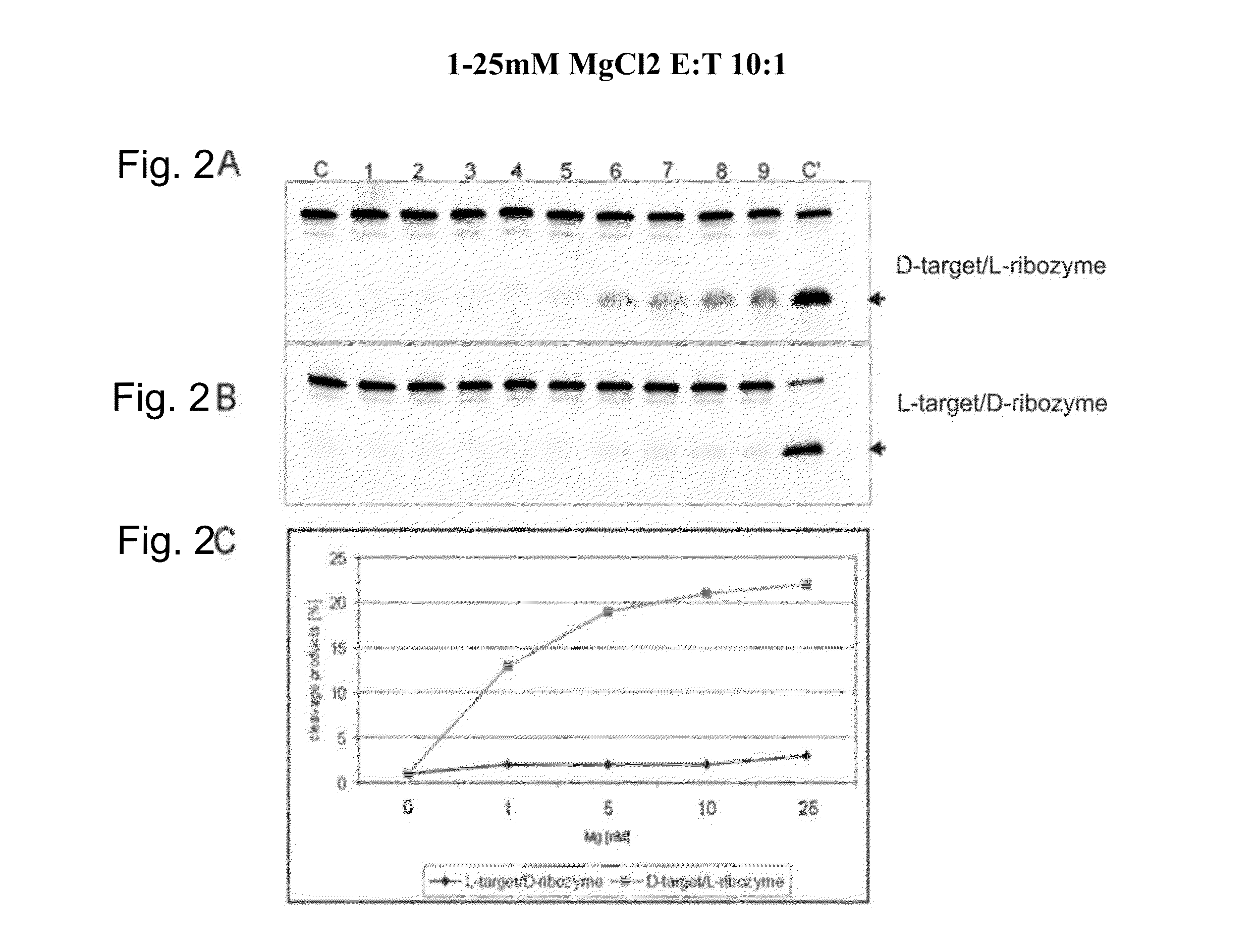 Pharmaceutical composition for treating adverse reactions due to administration of spiegelmers