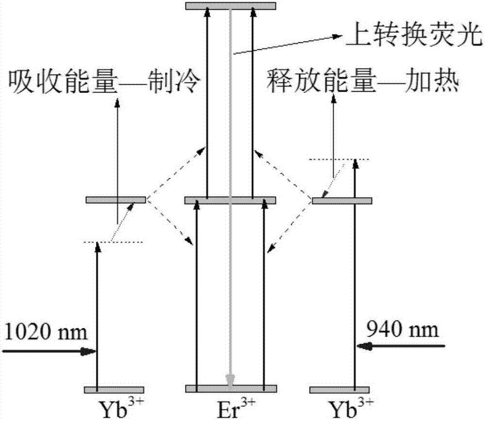 Dual-wavelength excitation type feedback phototherapeutic instrument