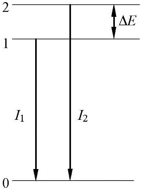 Dual-wavelength excitation type feedback phototherapeutic instrument