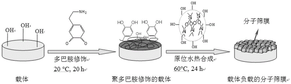 A method for preparing molecular sieve membranes by simulating functional modification of biological protein dopamine