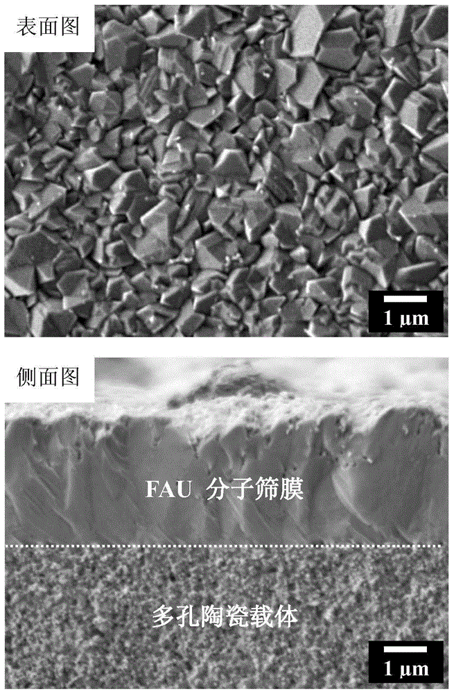 A method for preparing molecular sieve membranes by simulating functional modification of biological protein dopamine