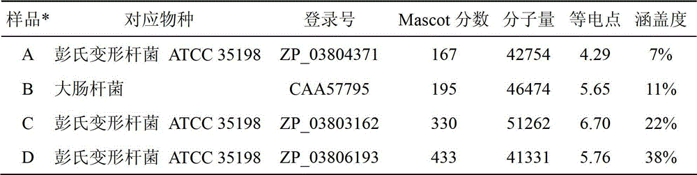 Screening and identification method of electricigen enzyme