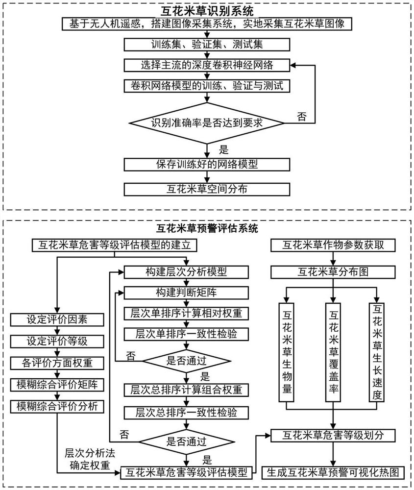 Spartina alterniflora identification and early warning method