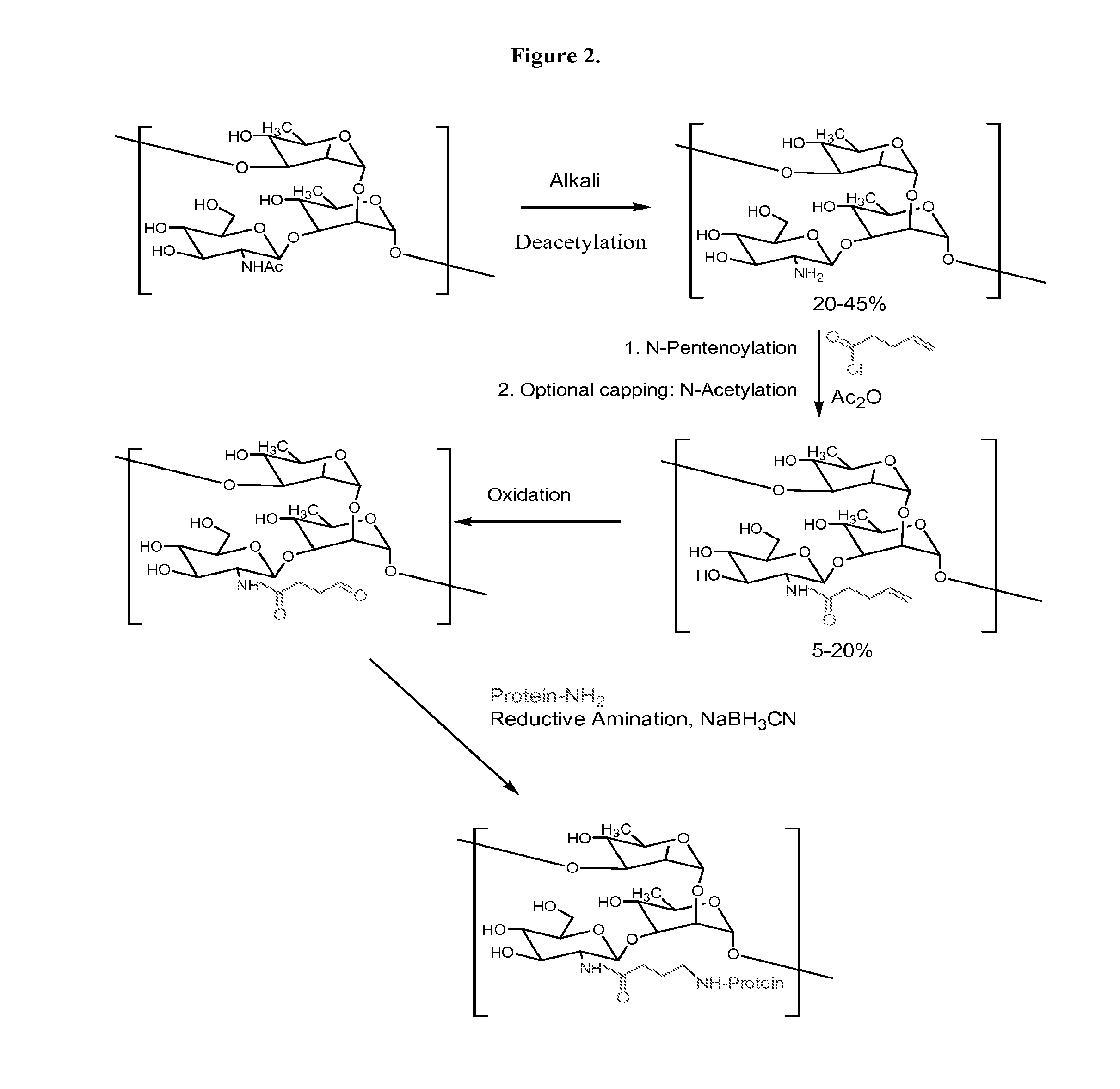 Modified Polysaccharides for Conjugate Vaccines