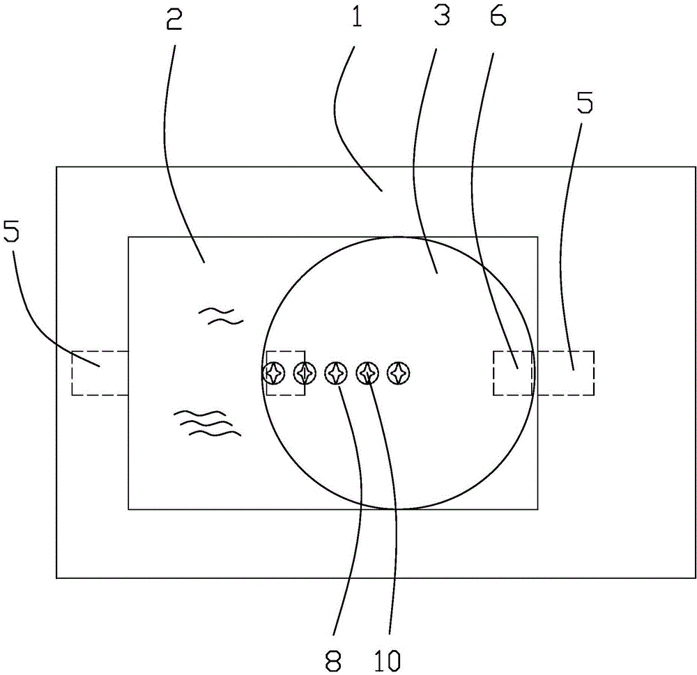 New meat freshness detection device and detection method