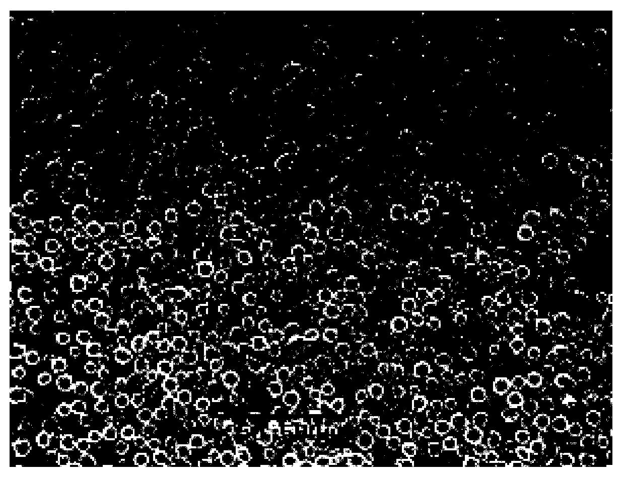 Copper, nickel and manganese alloy brazing filler metal powder and preparation method thereof