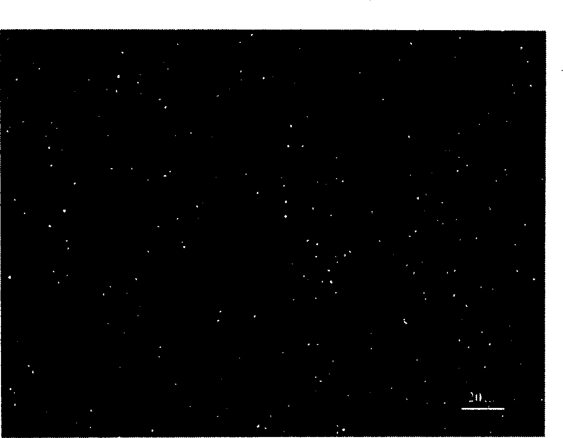 Process for preparing porous ceramic materials