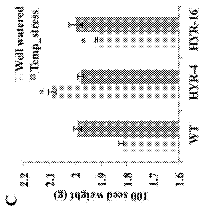 Methods of increasing resistance of crop plants to heat stress and selecting crop plants with increased resistance to heat stress