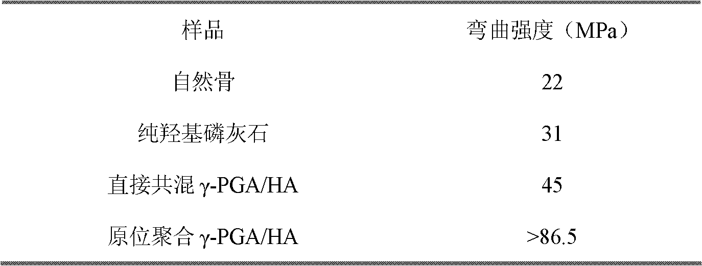 Novel gamma-polyglutamic acid/hydroxyapatite composite material and preparation method thereof