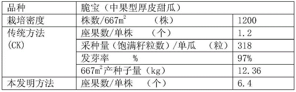 A kind of method for improving the yield of thick-skinned muskmelon hybrid seed production