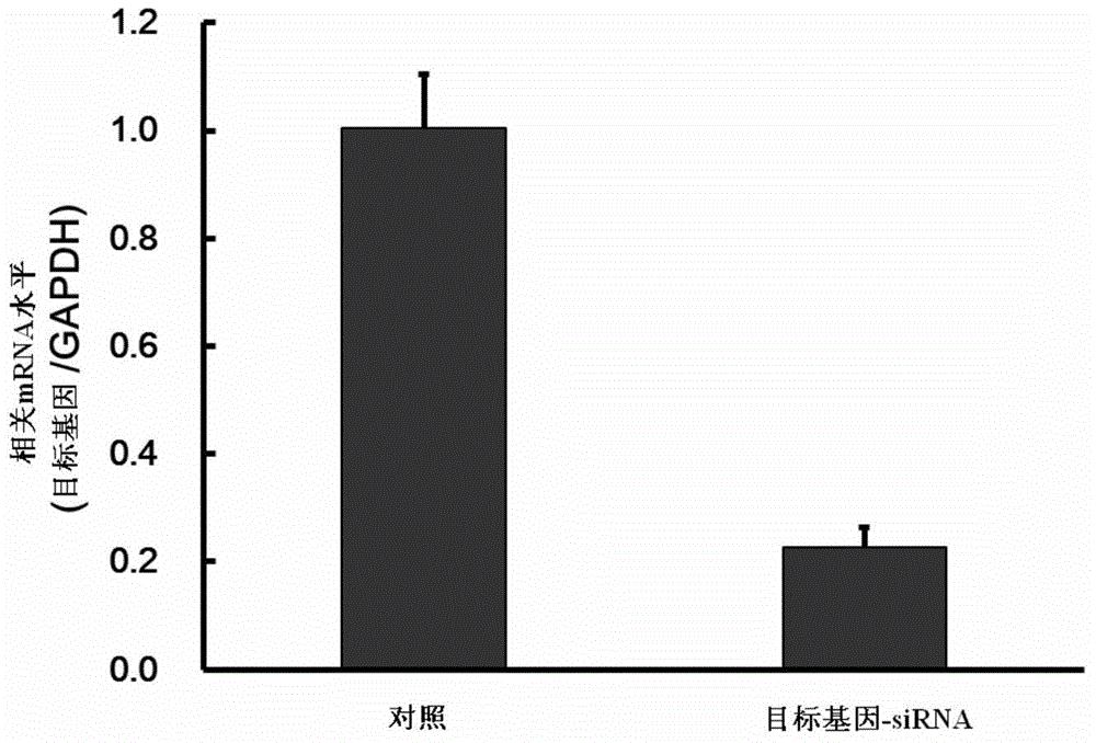 Application of human IARS2 gene and related medicines thereof