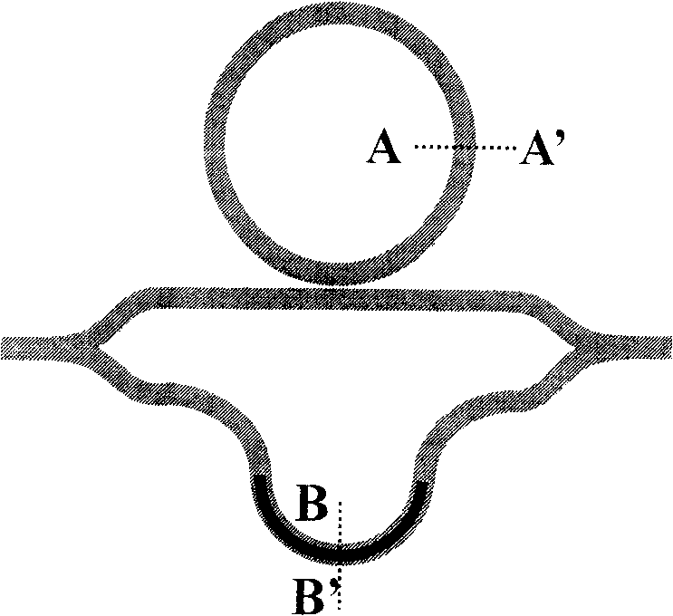 MZ interference structure optical separator based on resonant ring assistance