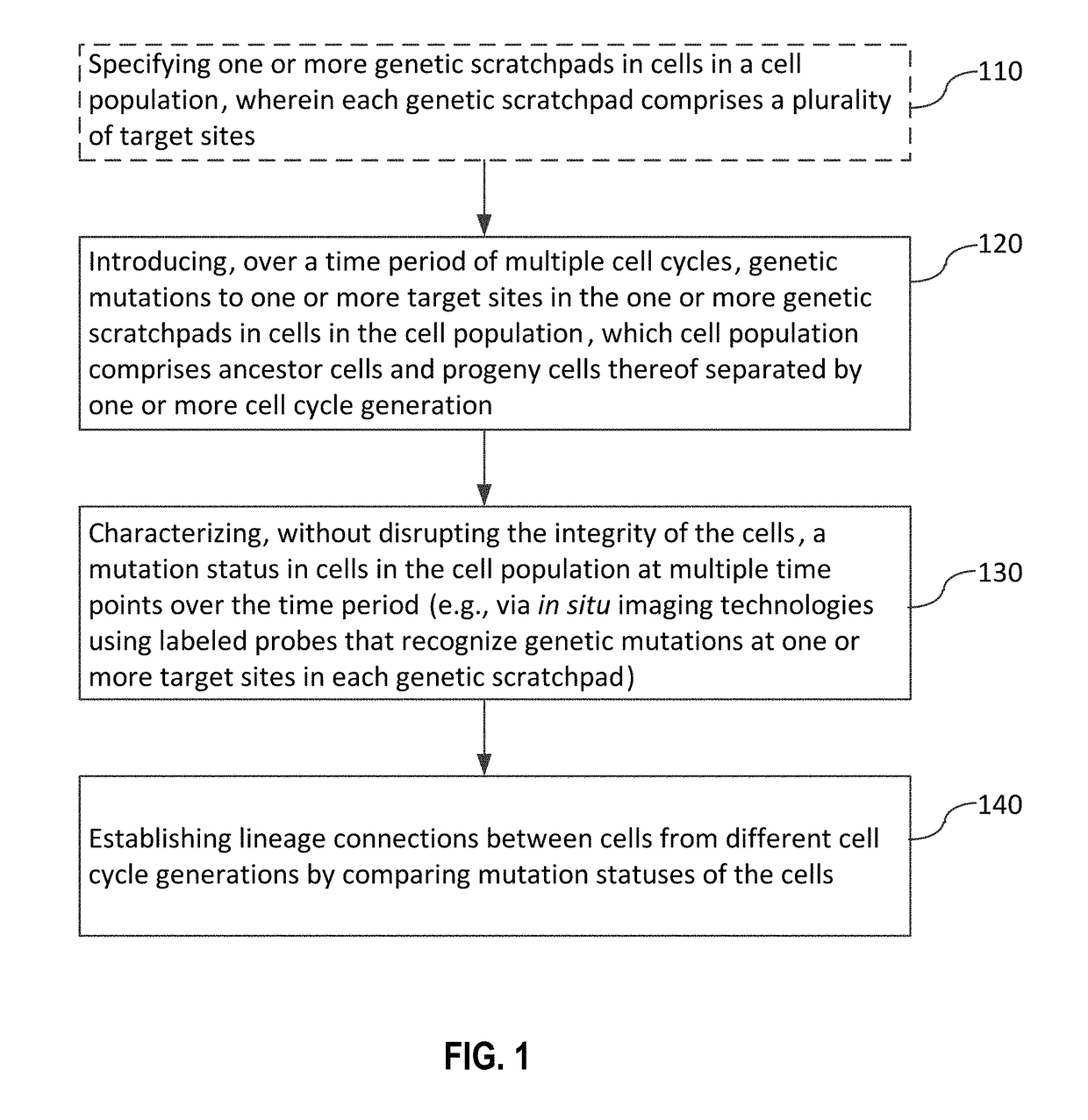 Recording and mapping lineage information and molecular events in individual cells