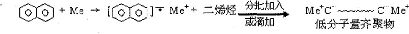 Preparation method of multifunction organic metal initiator for anionic polymerization