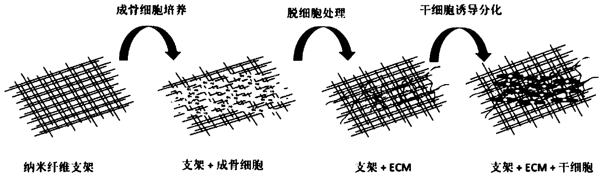 Preparation method and application of bionic composite nanofiber stent material