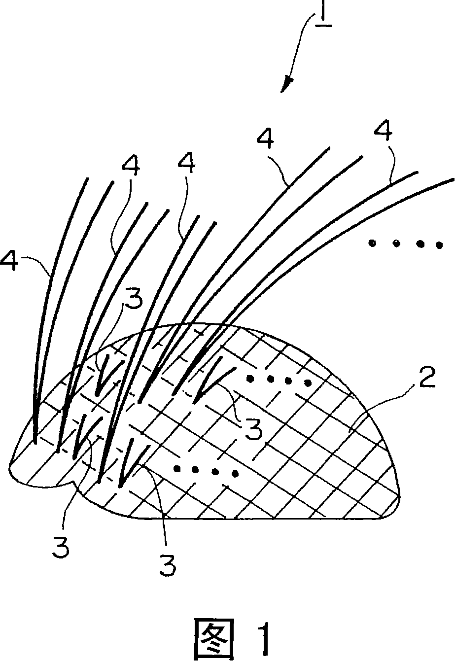 Wig and process for producing the same