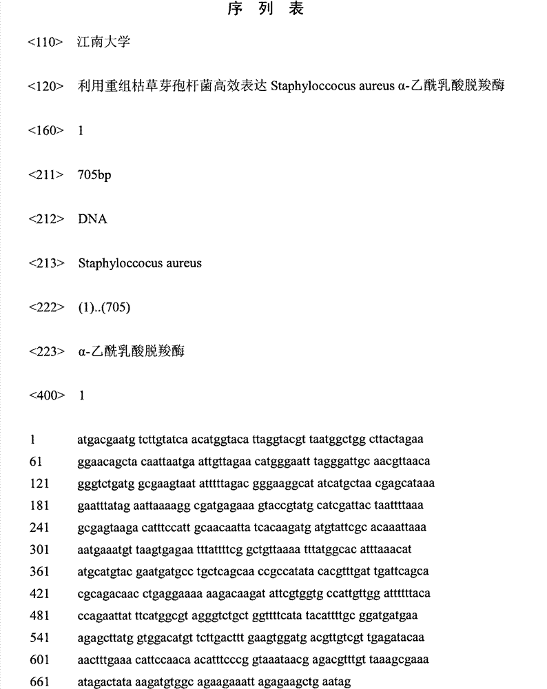 Method for expressing staphyloccocus aureus alpha-acetolactate decarboxylase by utilizing recombinant bacillus subtilis efficiently