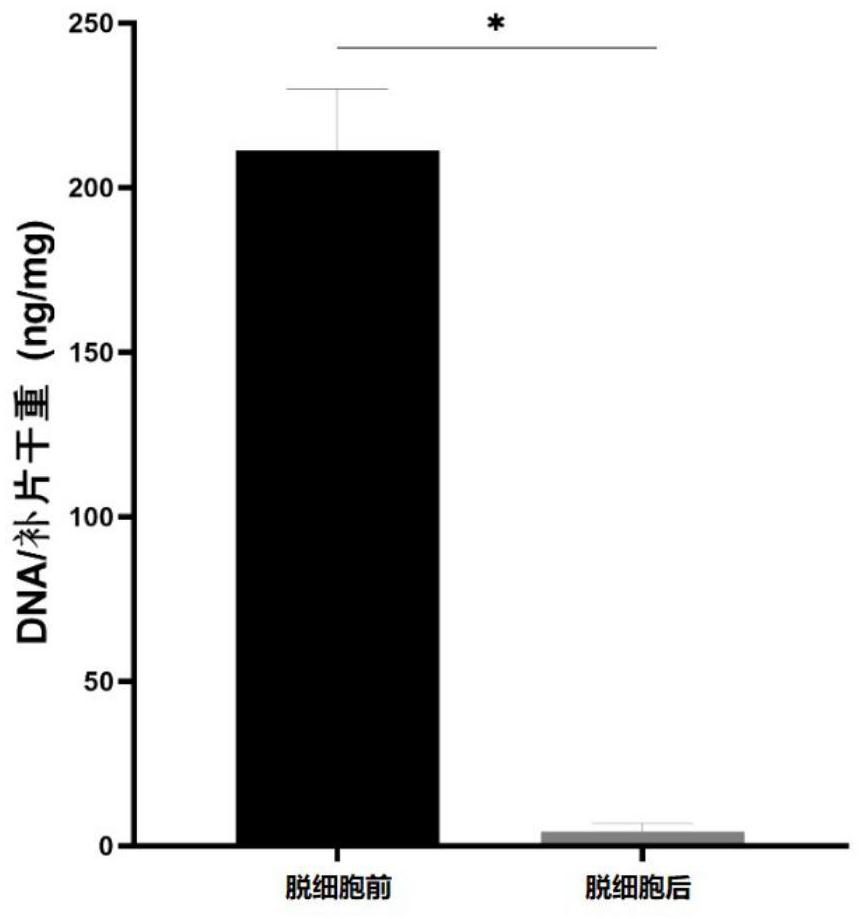 Biological patch and preparation method thereof