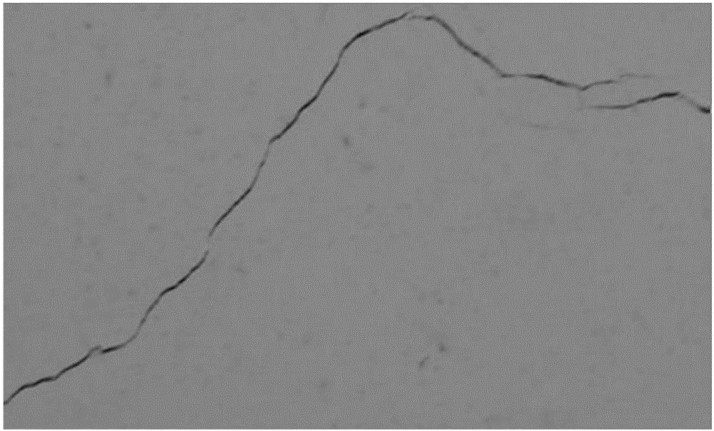 Automatic detection method for cracks of concrete member