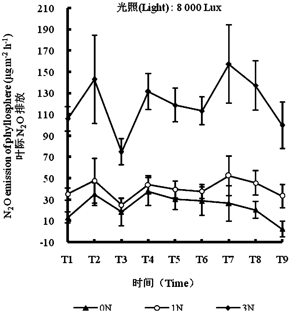 Method and apparatus for influencing N2O emission of rice foliage and rhizosphere