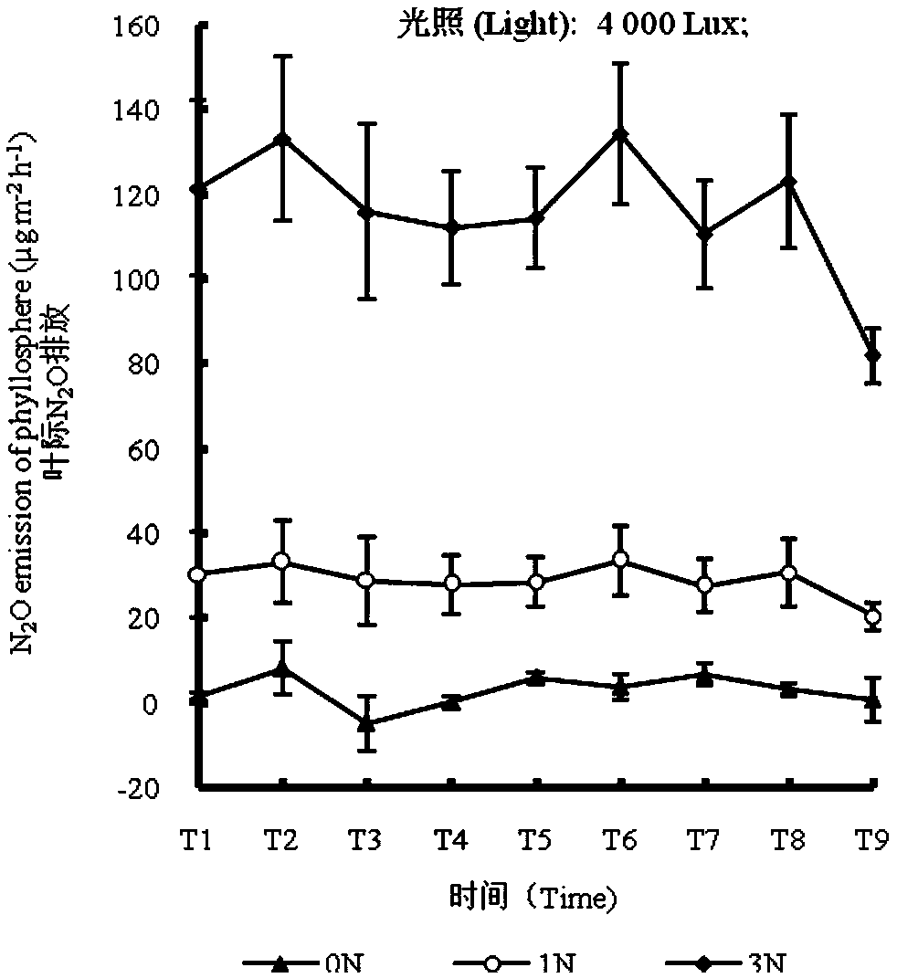 Method and apparatus for influencing N2O emission of rice foliage and rhizosphere