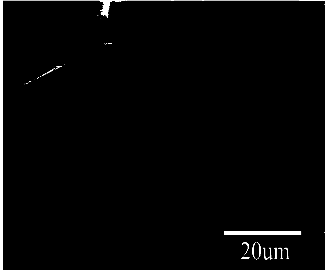 Preparation method of three-dimensional porous hexagonal boron nitride