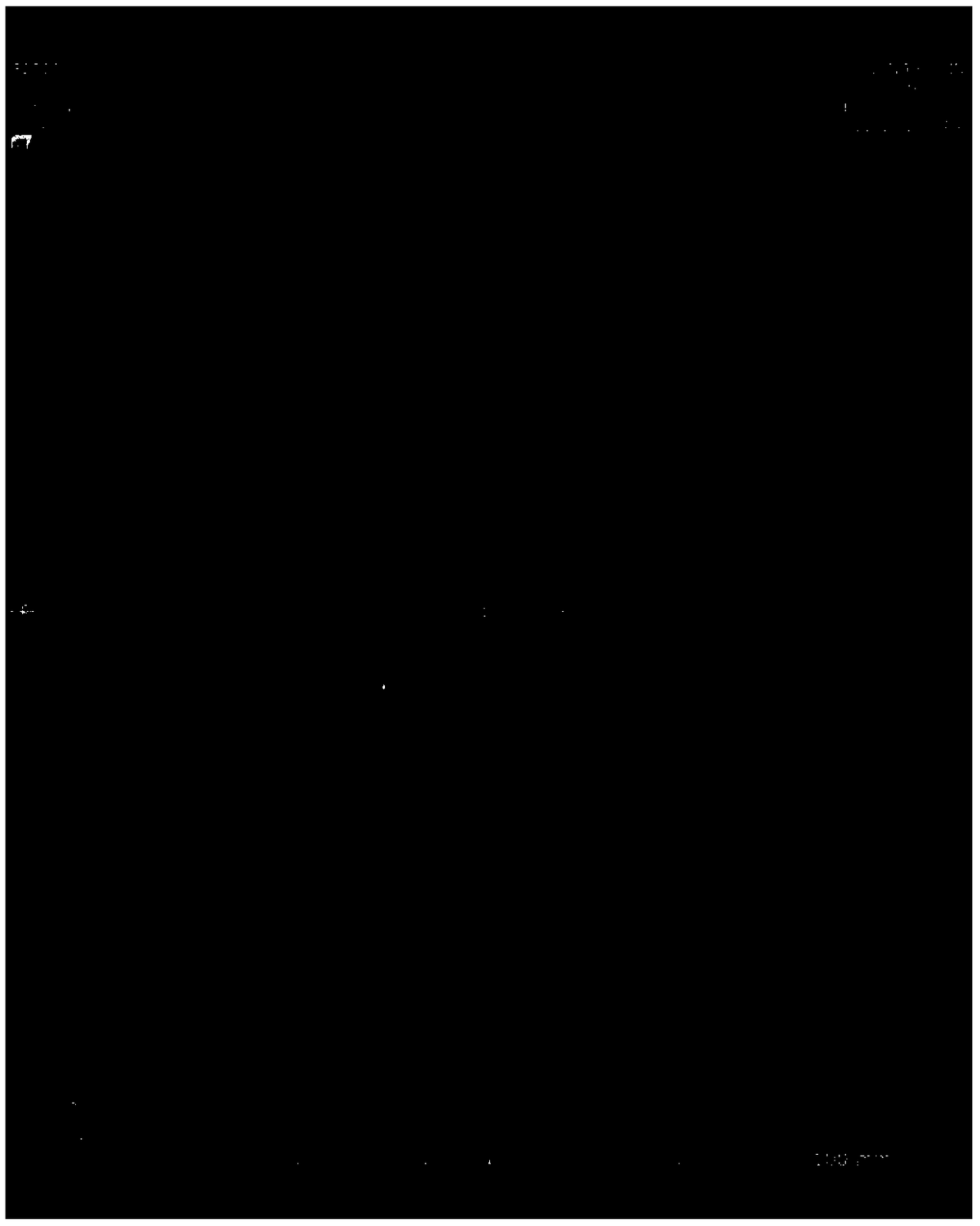 Ultrasonic bone age detection system and method