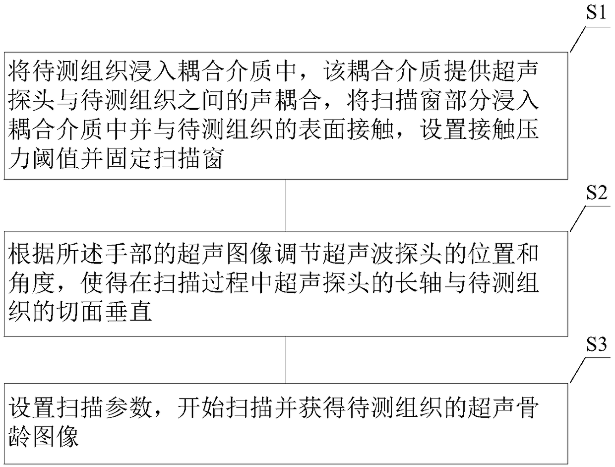 Ultrasonic bone age detection system and method