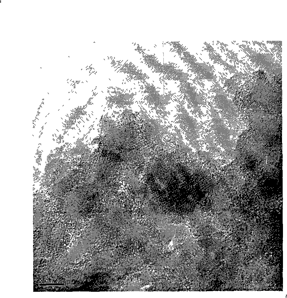 Preparation of magnetic silicon dioxide microsphere with metallic ion chelated surface and use thereof